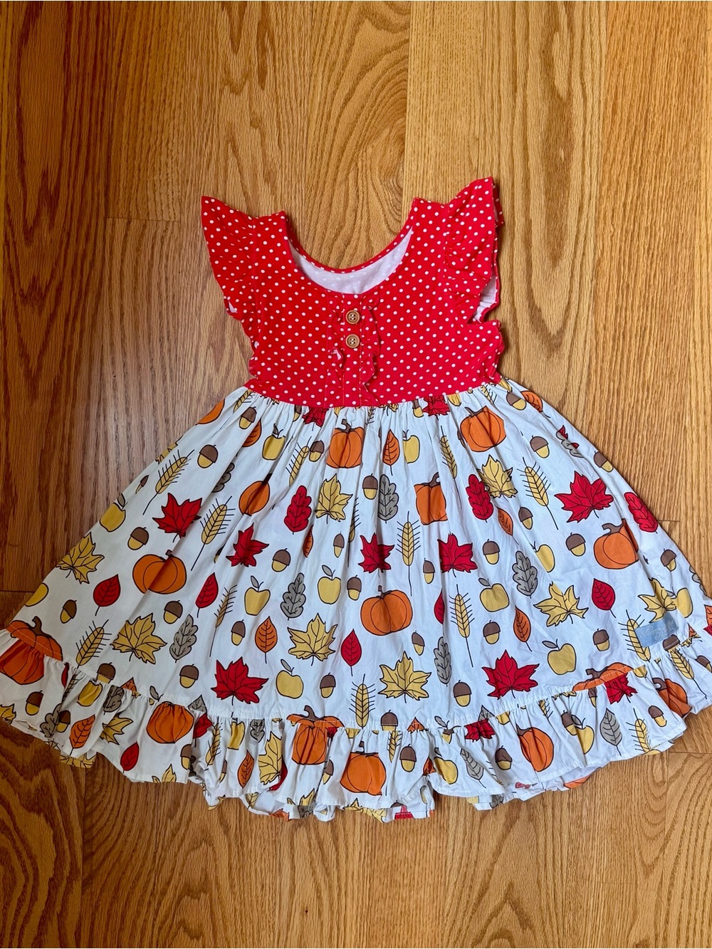 EUC sz 6-7 Eleanor Rose Kirby Fall/ Thanksgiving Dress